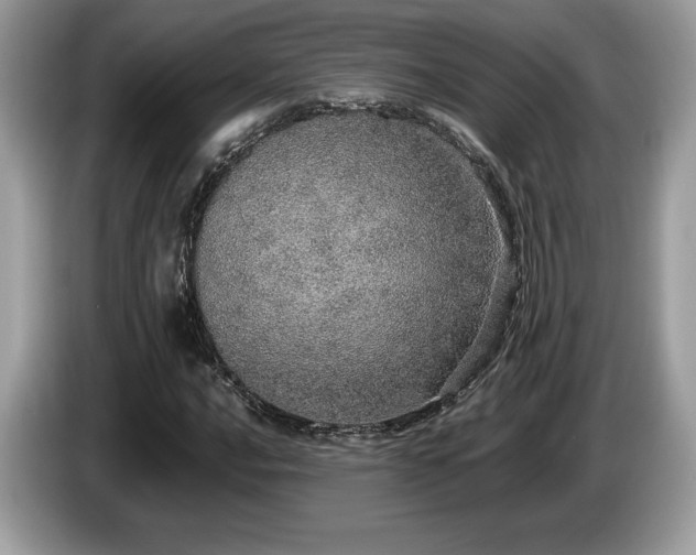 X0000087561016200704271222