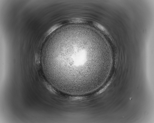 X0000087561017200704271222