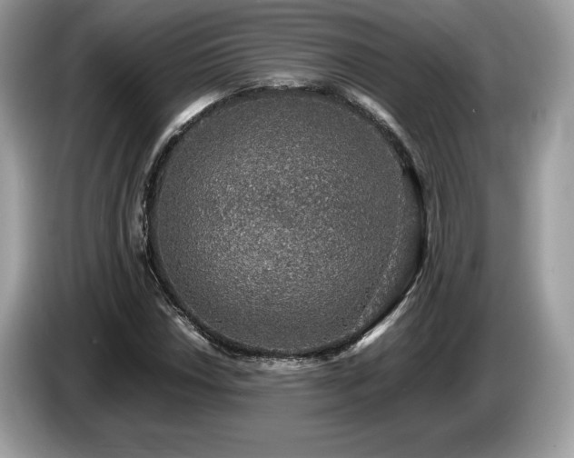 X0000087561018200704271222