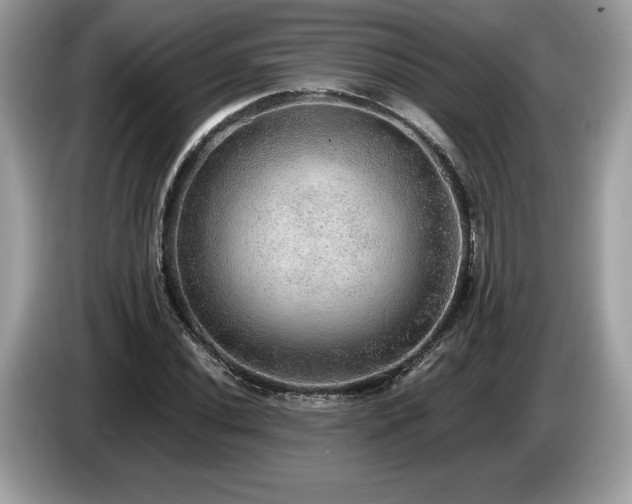 X0000087561020200704271222