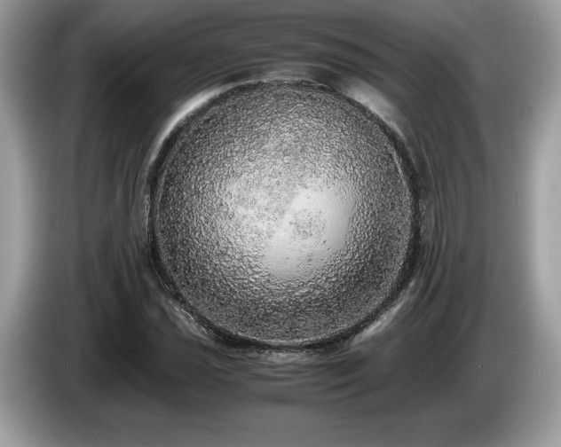 X0000087561021200704271222