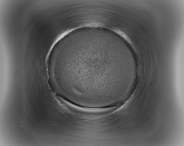 X0000087561022200704271222