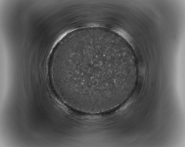 X0000087561023200704271222