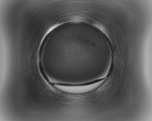 X0000087561024200704271222