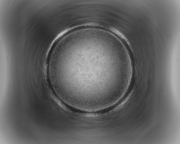 X0000087561029200704271222