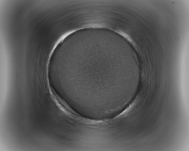 X0000087561030200704271222