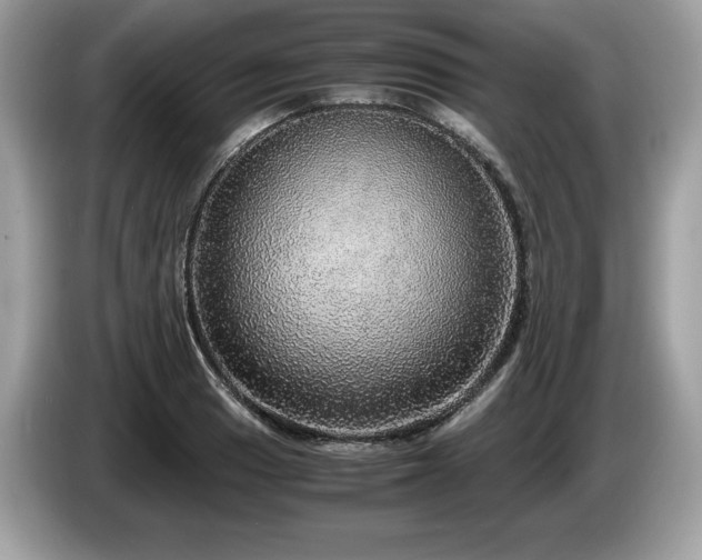 X0000087561033200704271222