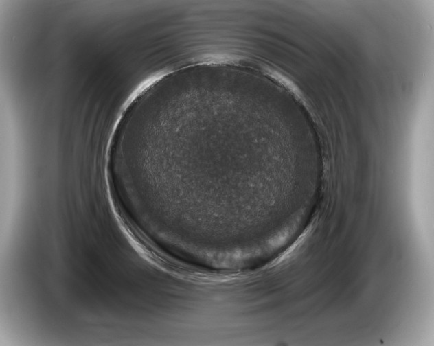 X0000087561034200704271222