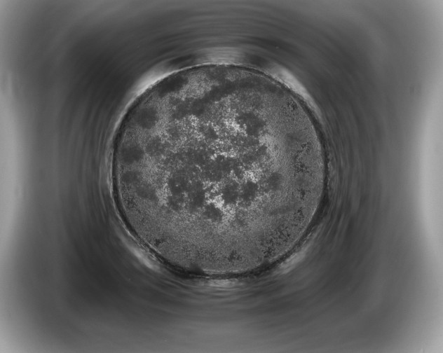 X0000087561035200704271222