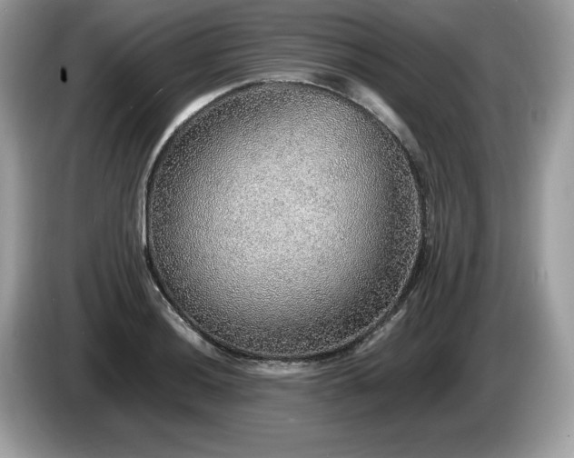 X0000087561036200704271222
