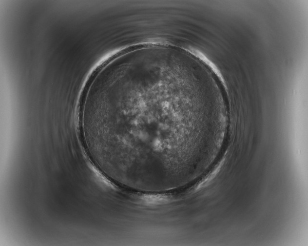 X0000087561037200704271222