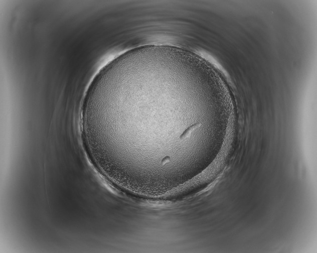 X0000087561040200704271222