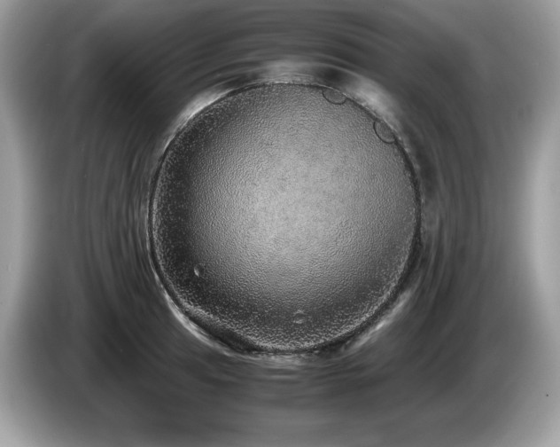X0000087561041200704271222