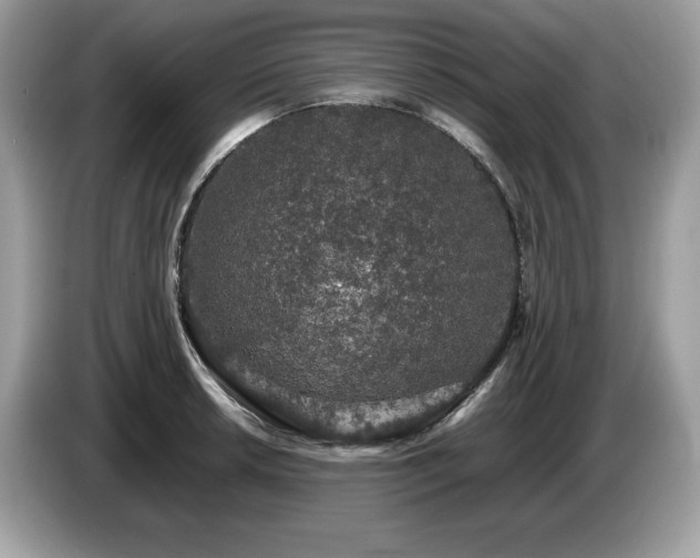 X0000087561042200704271222