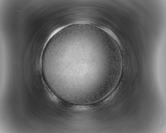 X0000087561044200704271222