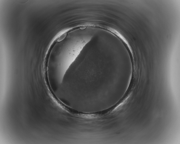 X0000087561045200704271222