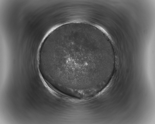 X0000087561046200704271222