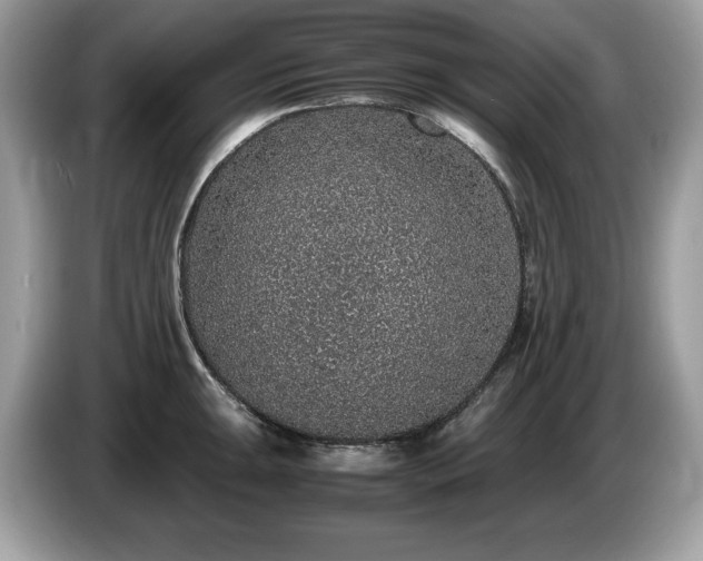 X0000087561047200704271222