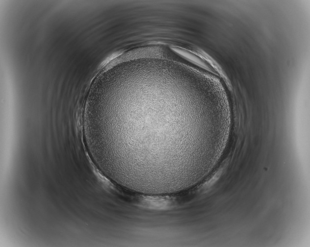 X0000087561049200704271222