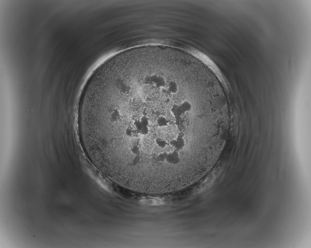 X0000087561051200704271223
