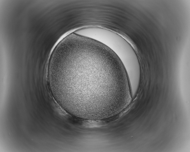 X0000087561052200704271223