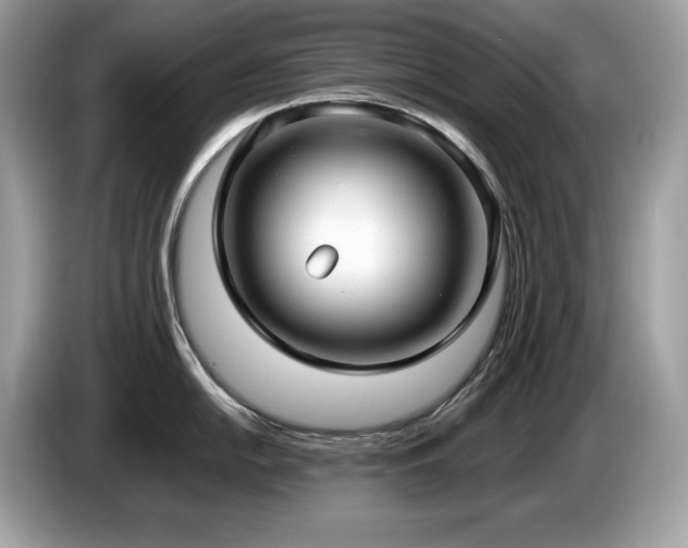 X0000087561054200704271223