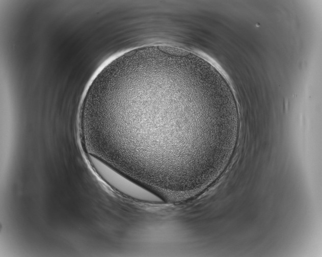 X0000087561056200704271223
