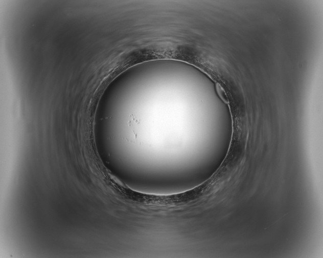 X0000087561057200704271222