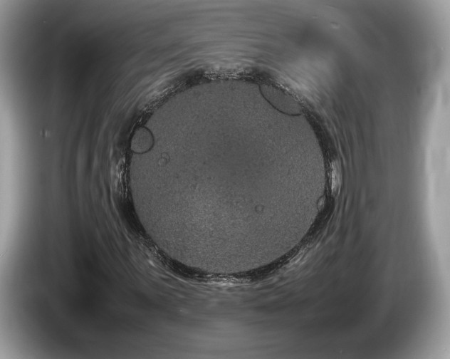 X0000087561059200704271222