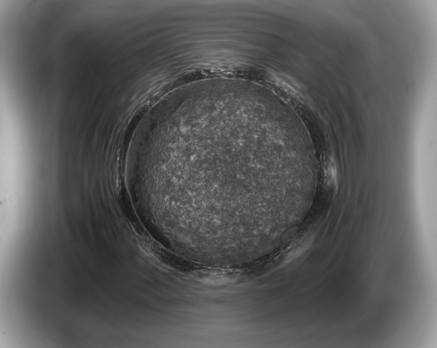 X0000087561060200704271222