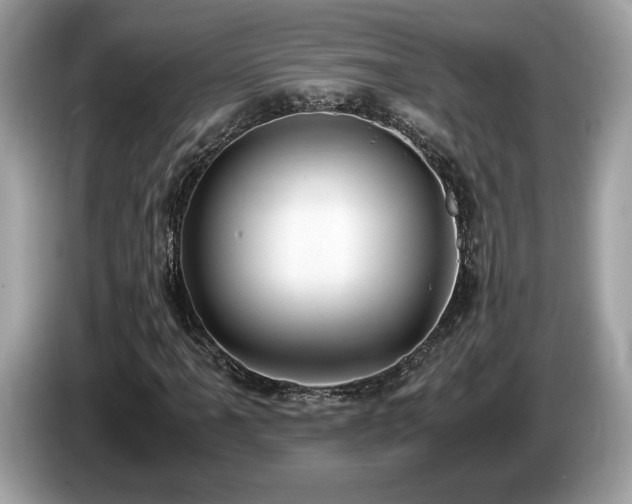 X0000087561061200704271222