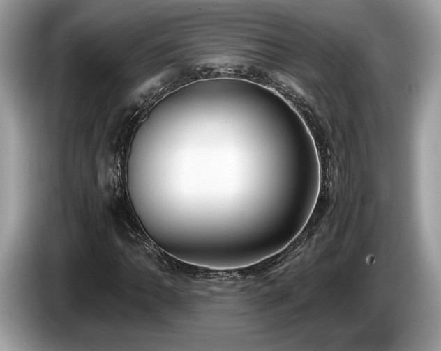 X0000087561062200704271222