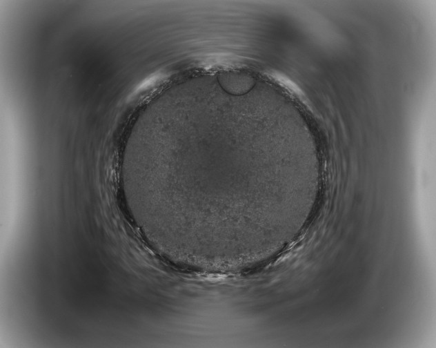 X0000087561063200704271222