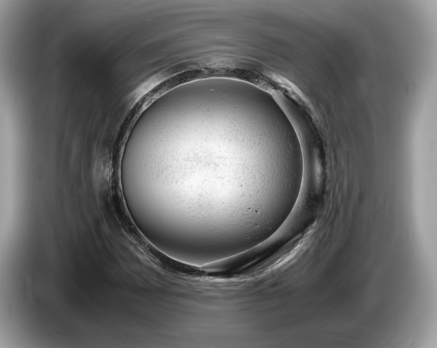 X0000087561065200704271222