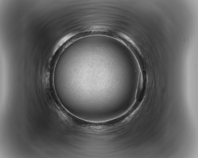 X0000087561066200704271222
