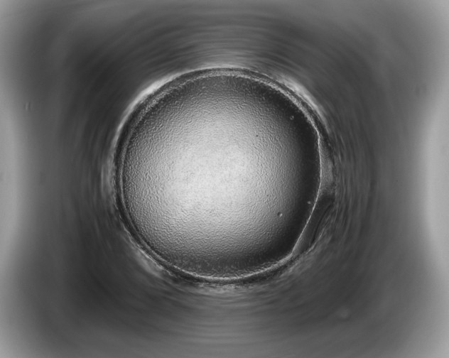 X0000087561072200704271222
