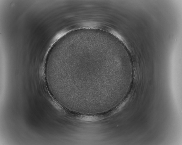 X0000087561074200704271222