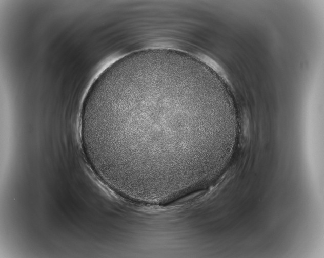 X0000087561076200704271222