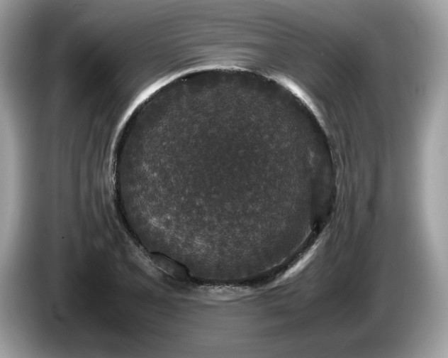 X0000087561077200704271222