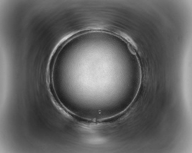 X0000087561080200704271222