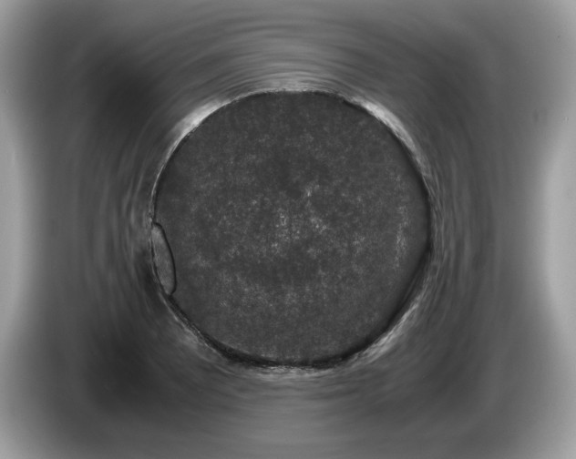 X0000087561081200704271222