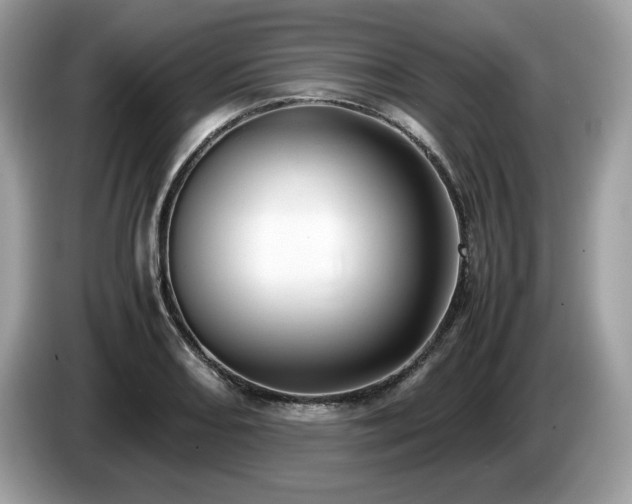X0000087561082200704271222