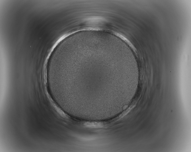 X0000087561083200704271222