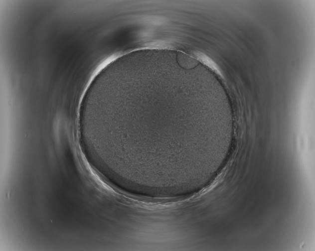 X0000087561087200704271222