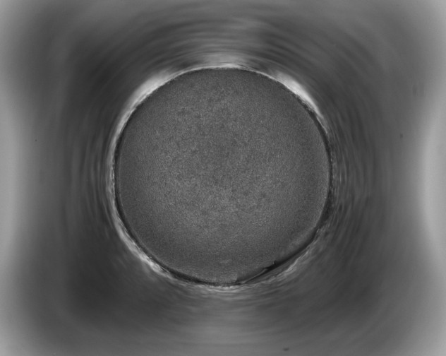 X0000087561088200704271222