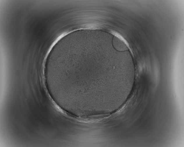 X0000087561091200704271222