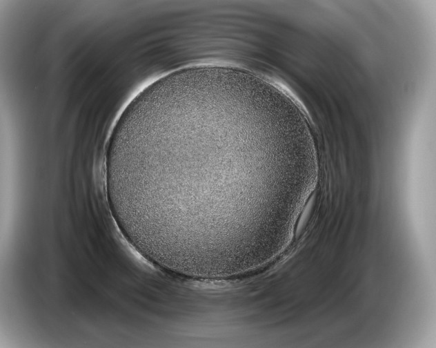 X0000087561092200704271222