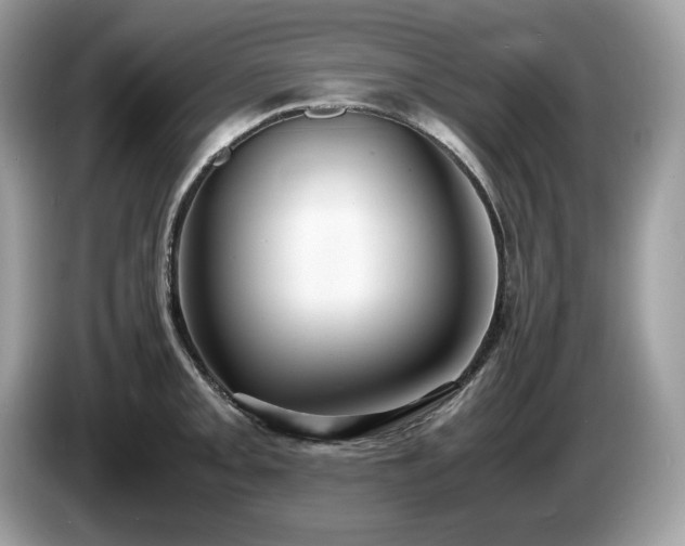X0000087561093200704271222