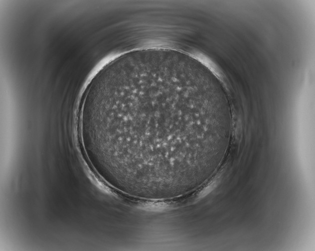 X0000087561094200704271222