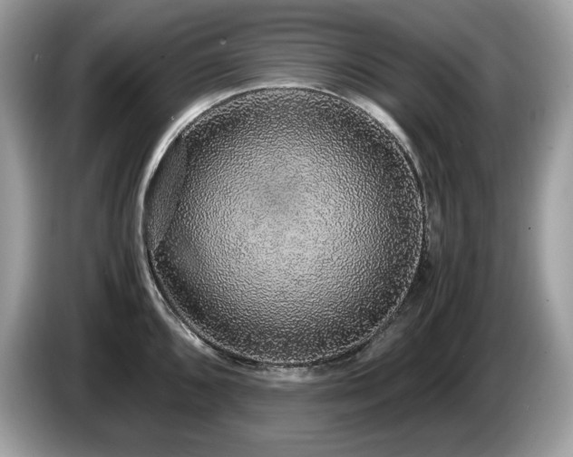 X0000087561096200704271222